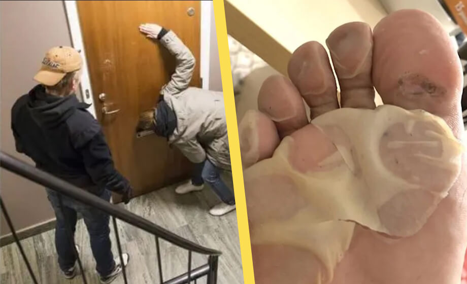 Polisen gjorde tillslag i fel hem – sköt oskyldig med elpistol och pepparsprej