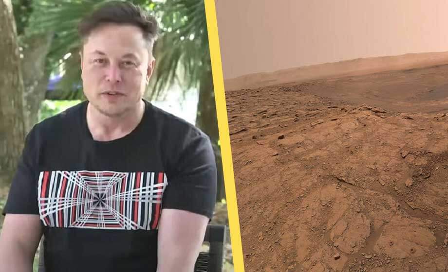 Elon Musk: Kolonisering av Mars kommer kräva många liv