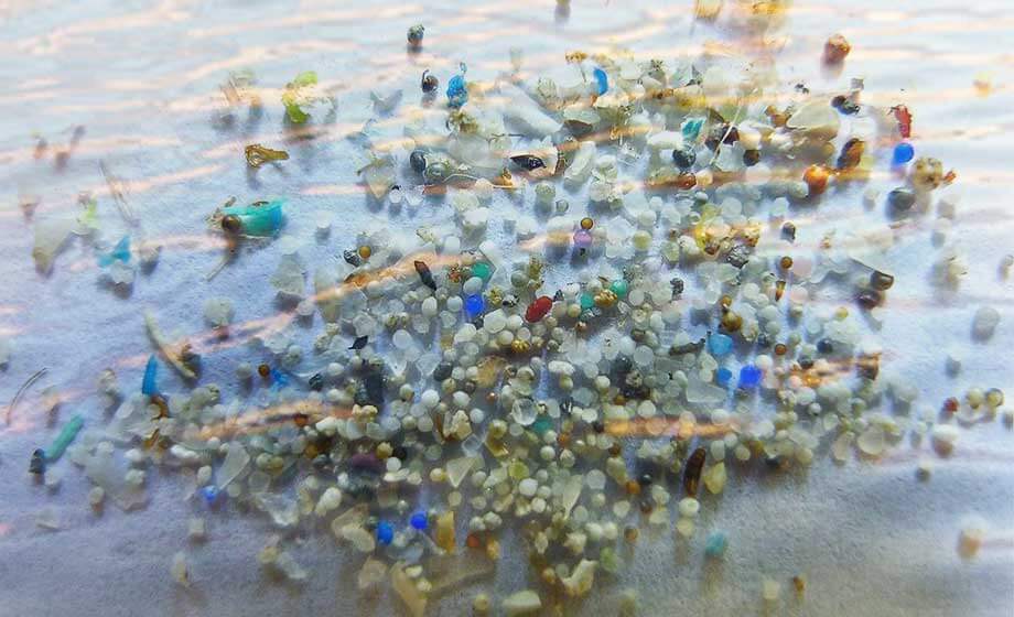 Ny teknik: Bakterier kan rensa haven från plastföroreningar