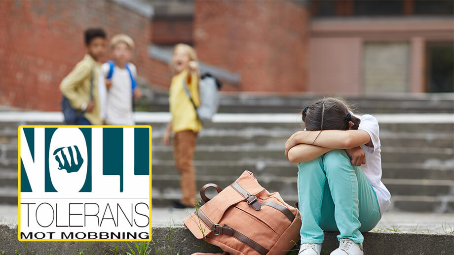 Miljoner mot mobbning gick till privat bolagskoncern