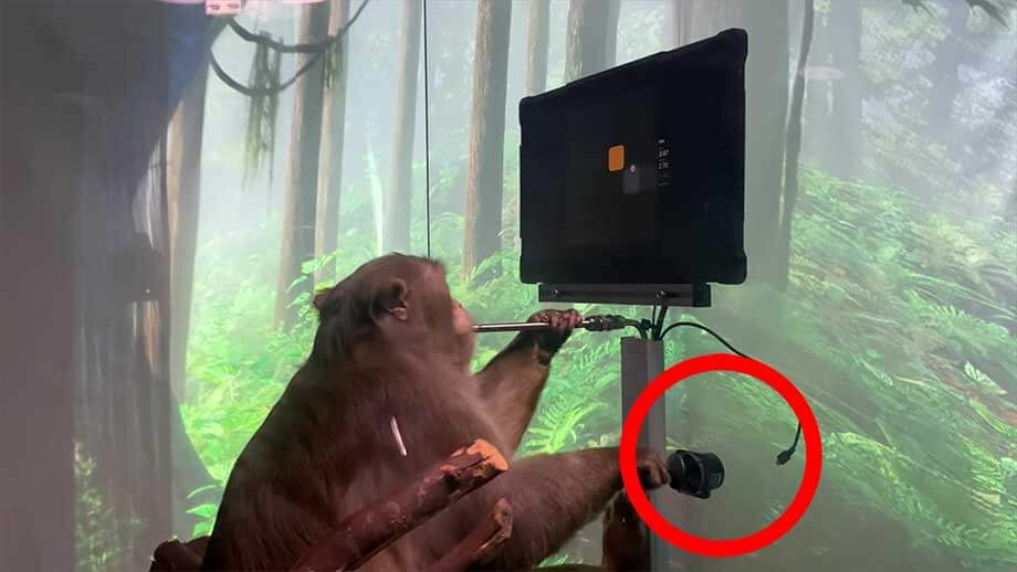 Implantat i hjärnan låter dig styra dator och telefon med tankekraft