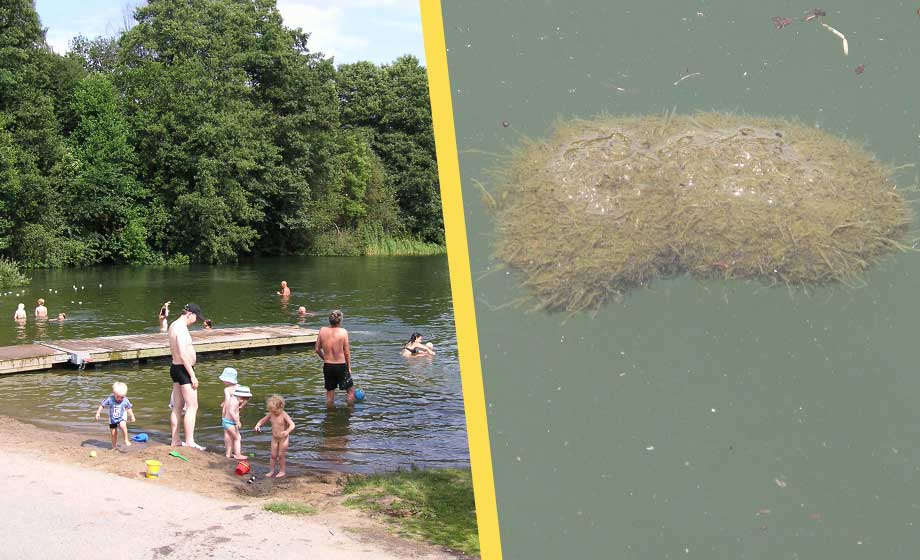 Avföring flyter vid badplatser – Stockholm avråder från bad