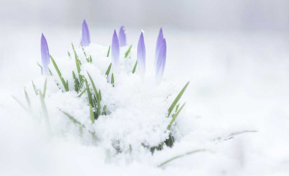 Europas kallaste april på 18 år