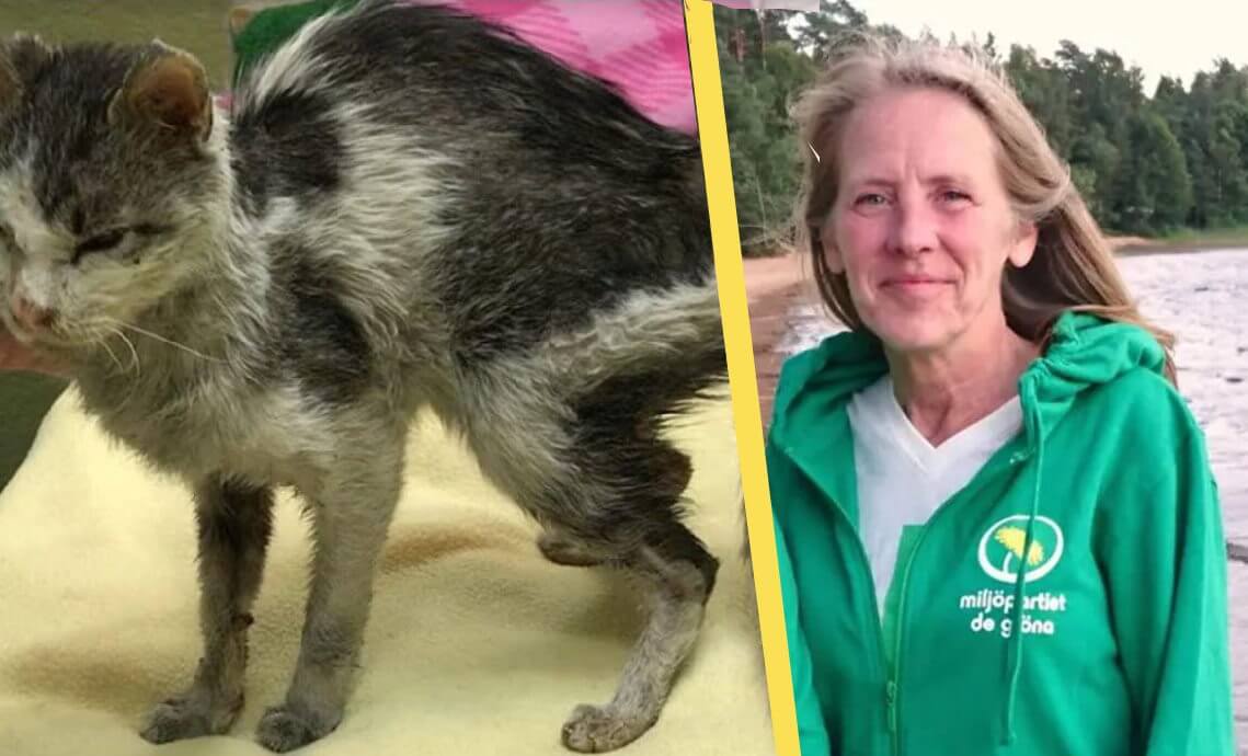 Miljöpartiets toppnamn avslöjas plåga djur