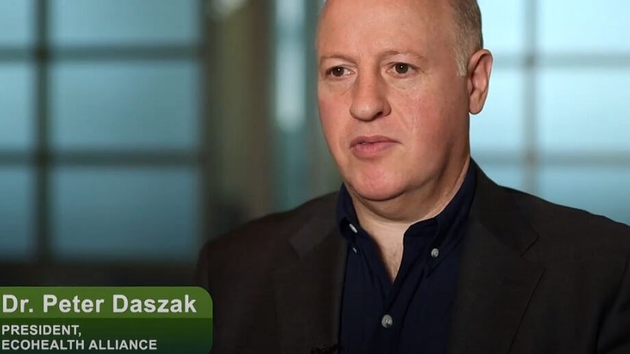 Utredaren av virusets ursprung avslöjas ha nära kopplingar till Wuhan-labbet – handplockades av Kina