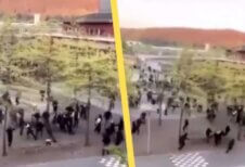 VIDEO: Chockerande bilder från kriminellas upplopp i Hjällbo