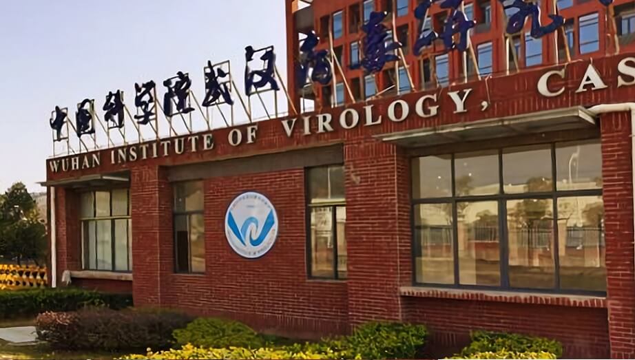 Forskare mörkade virusets ursprung för att inte störa ’internationell harmoni’
