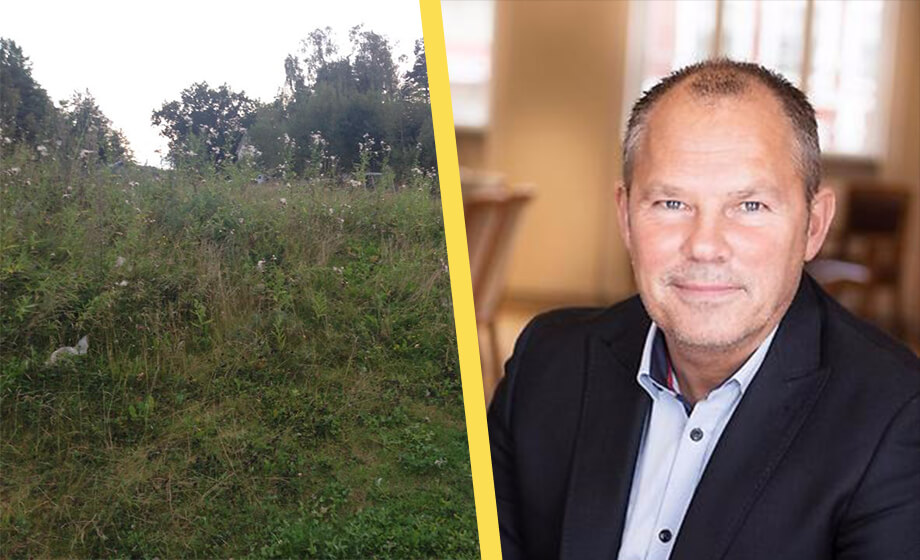 Kommun låter grönytor växa sig ”frodiga” – saknas resurser att klippa