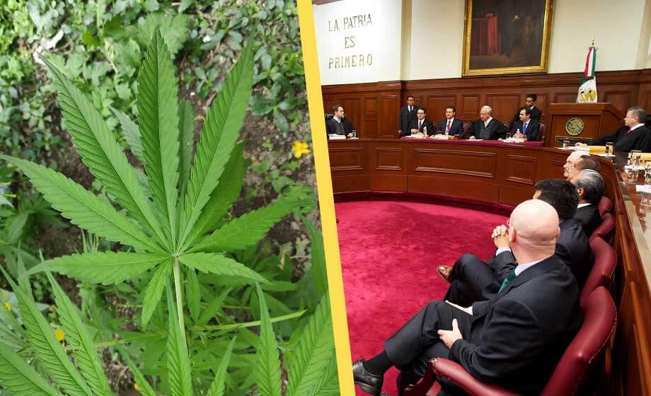Cannabis legaliseras i Mexiko