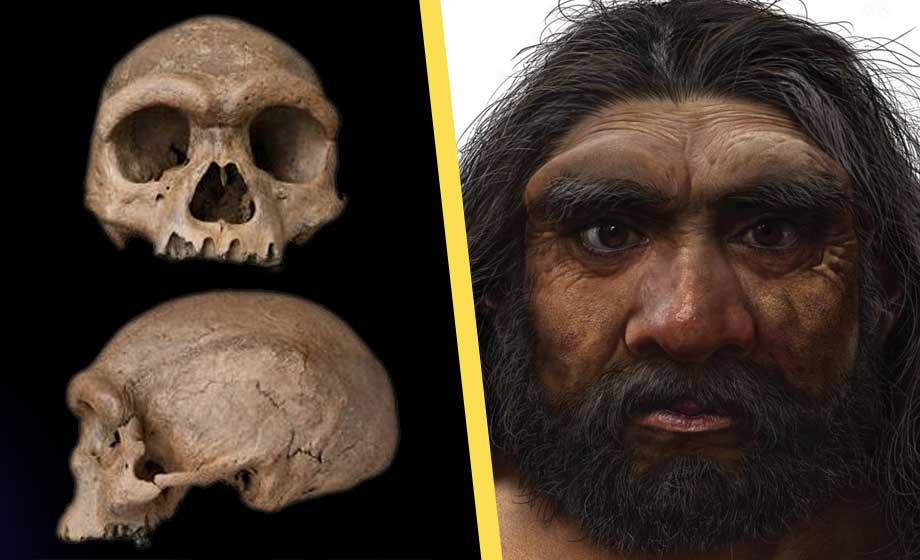 Ny människoart upptäckt