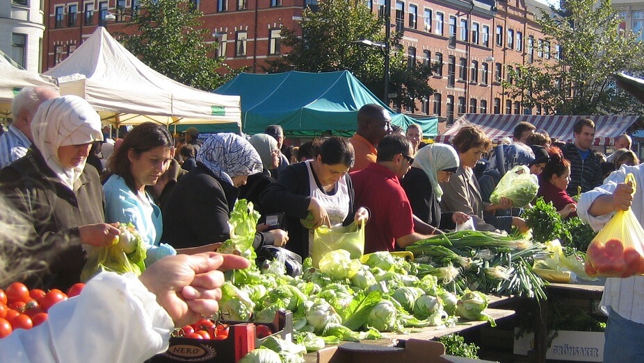 Fiasko för ännu en jobbsatsning i Malmö