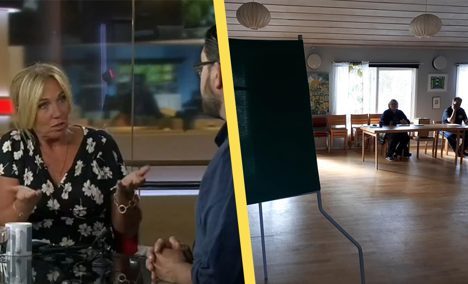 Statstelevisionen: Dyrt och onödigt med demokratin