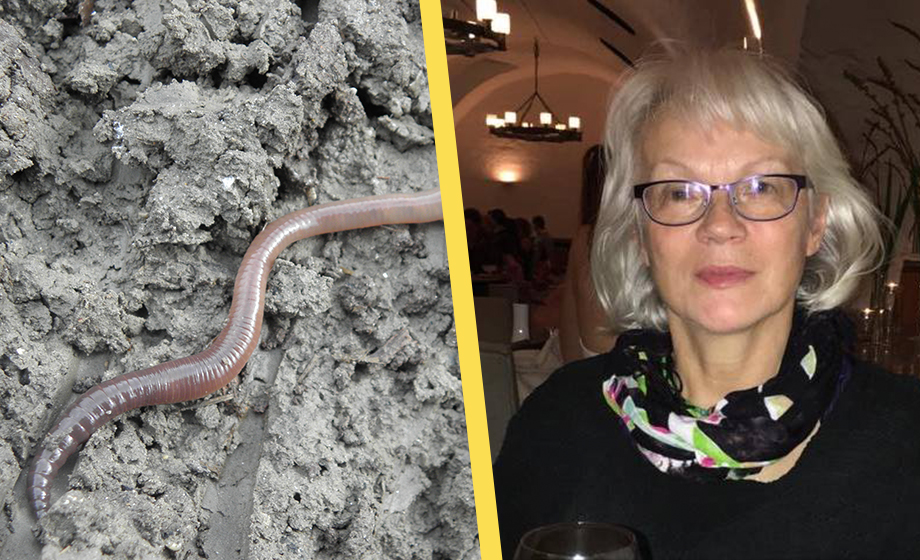 Nu öppnar miljonkonsten för småkryp och växter: ”Hoppas de kan ta till sig”