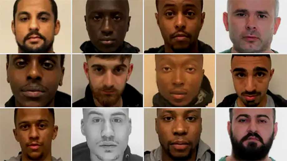 Flera livstidsdomar i stort gängkriminellt mål