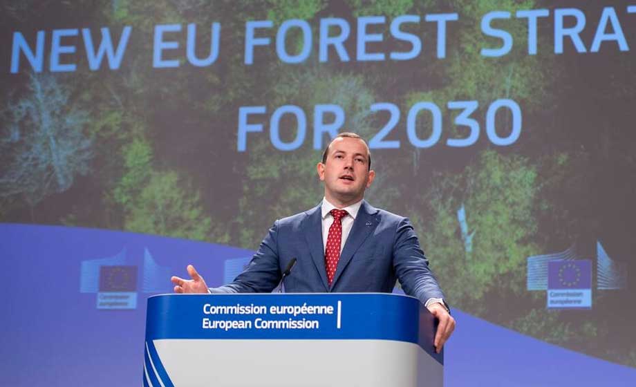 Skogsägare oroas över EU-kommissionens skogsstrategi