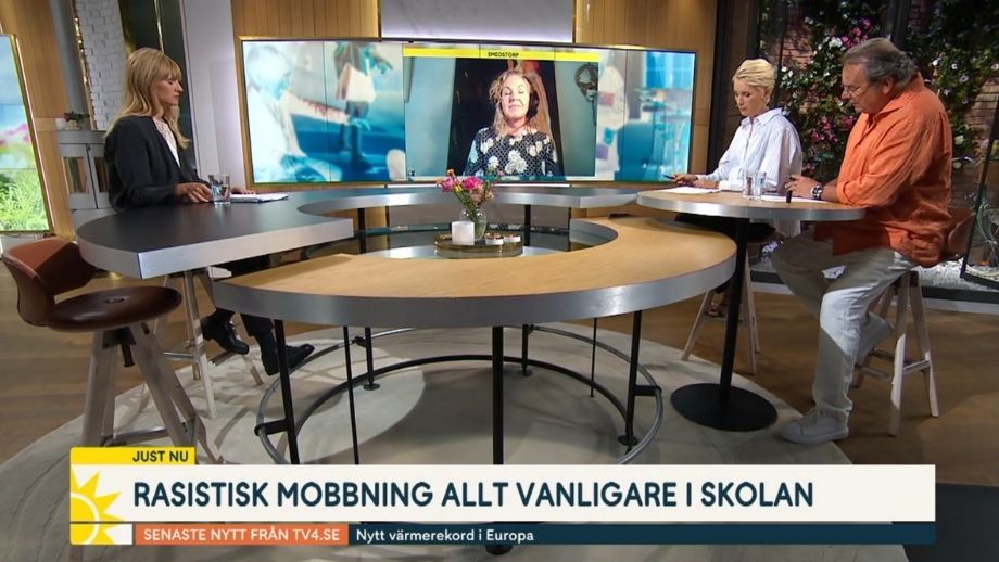 TV4: Rasism mot ”afrosvenskar” största problemet i skolan