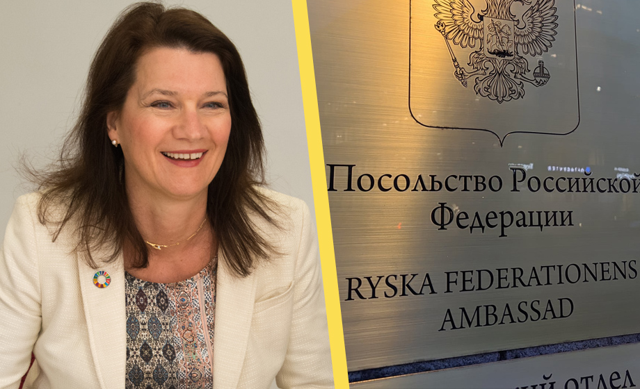 Ryssland: Ann Lindes samtal har skadat ländernas relationer