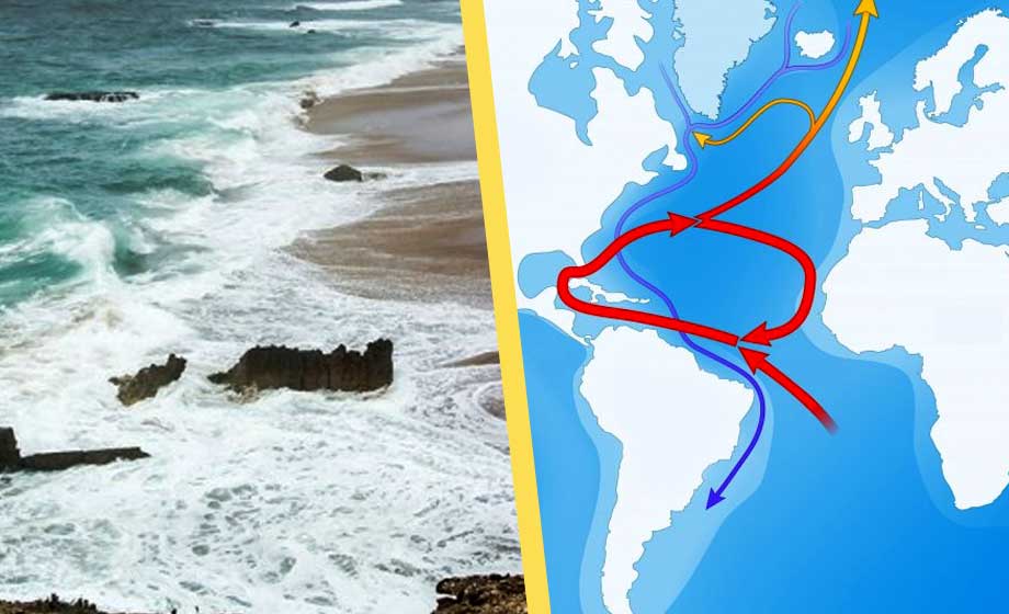 Expressen larmar: ”Golfströmmen kollapsar” – inte sannolikt, enligt forskare