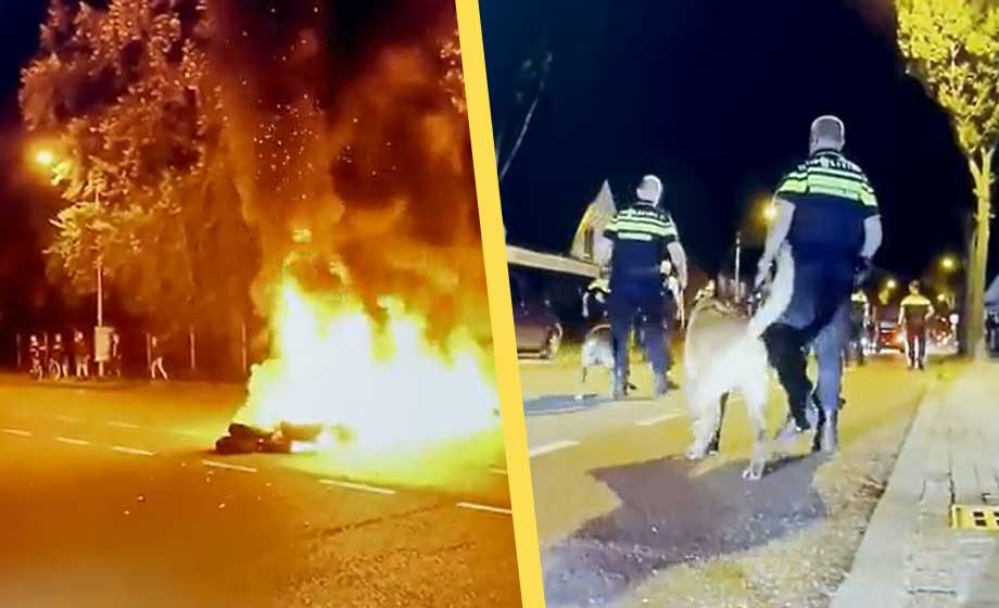 VIDEO: Kraftiga protester när 800 afghaner placerades i nederländsk stad med 3 500