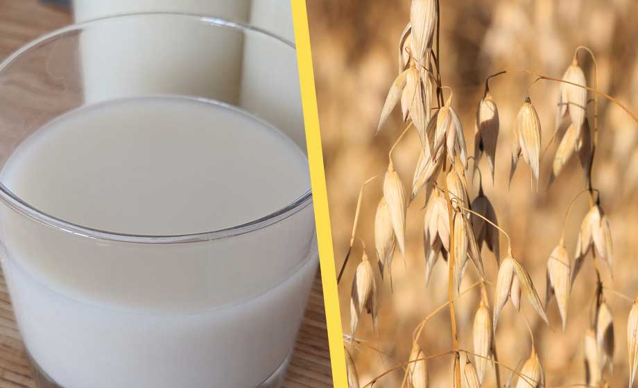 Arlas satsning på havremjölk får kritik