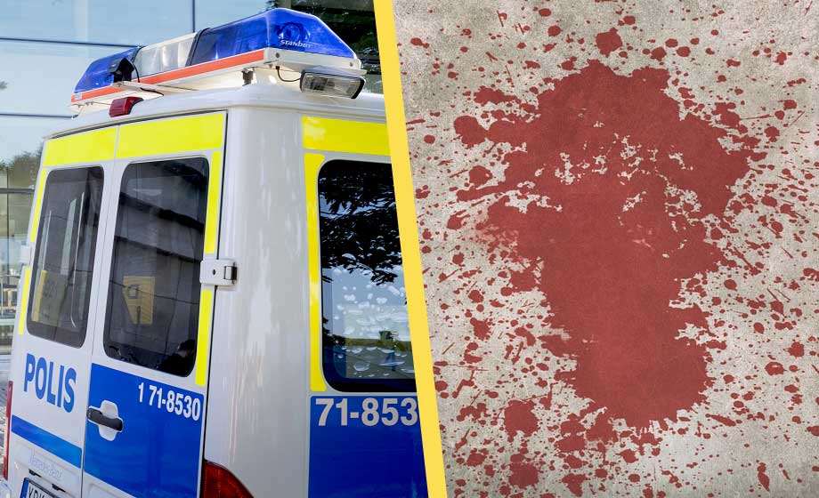 Kvinna skulle gå ut med hunden – skadades allvarligt i bombdåd