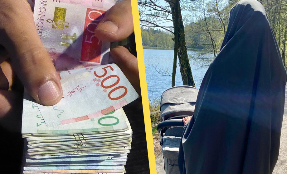 Försäkringskassan: Migranter överrepresenterade i alla typer av bidragsbrott