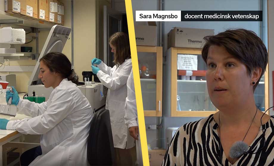 Svenska forskare arbetar på vaccin mot cancer