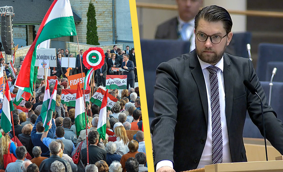 Åkesson kritiserar Ungern och Polen: ”På väg utför demokratiskt”