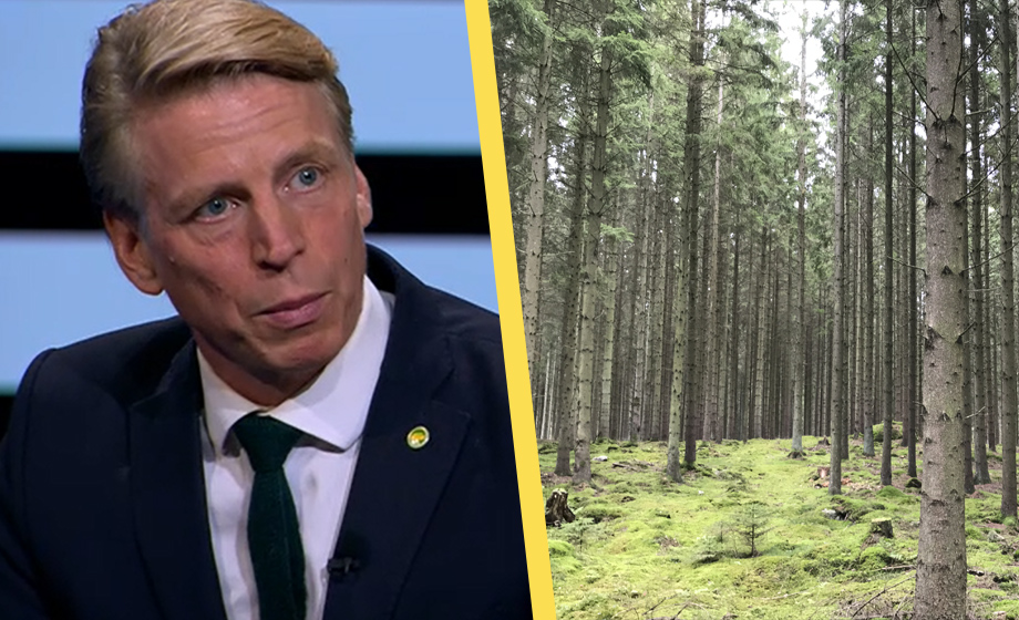 MP-kravet: Bygg med trä – vill konfiskera halv miljon hektar skog