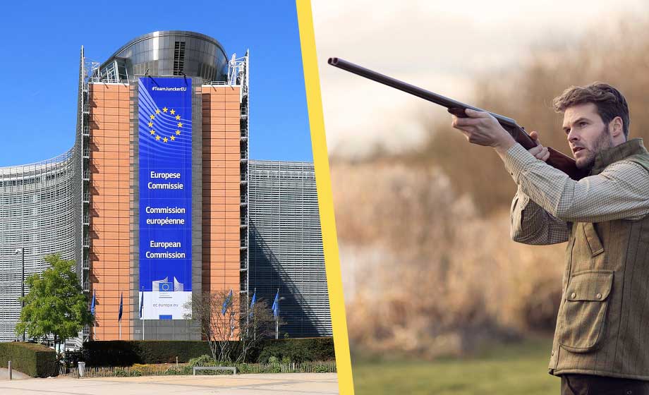 EU-beslut: Blyhagel förbjuds