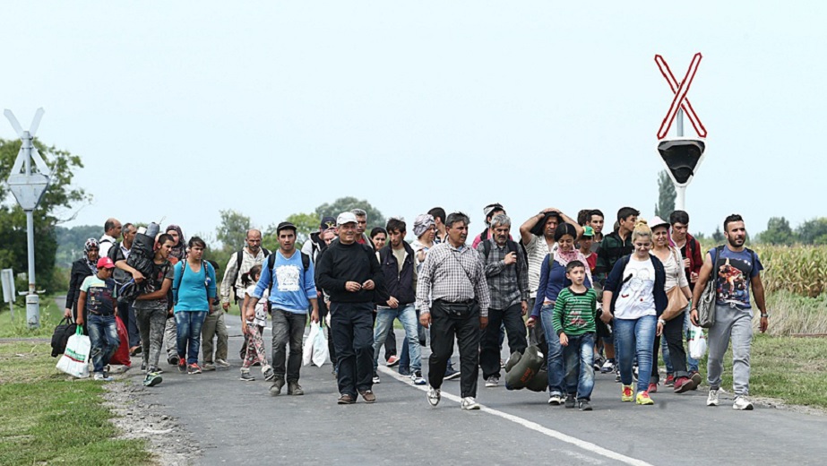 Kommuner kräver fler nyanlända: ”Viktiga för kompetensförsörjningen”