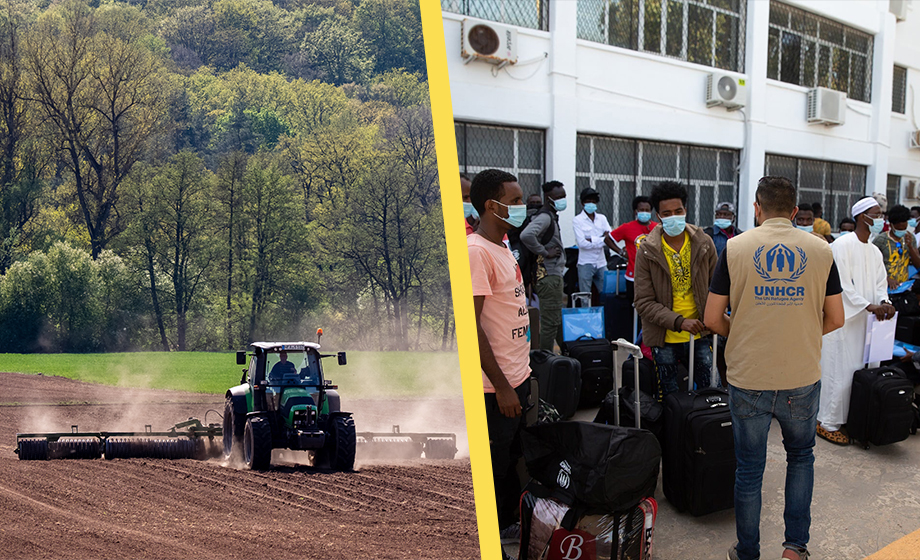 Varningen: Afrikansk livsmedelskris kan utlösa ny migrantvåg