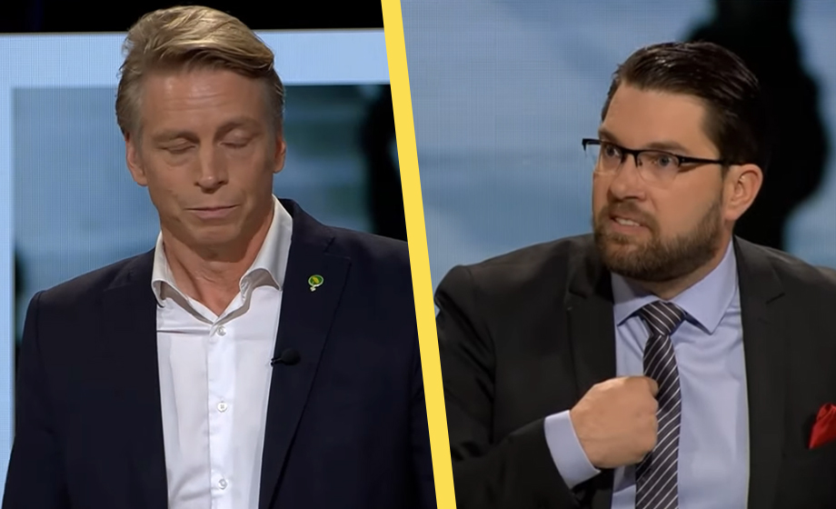 VIDEO: Åkesson läxar upp darrig Bolund: ”Vem är brun?”