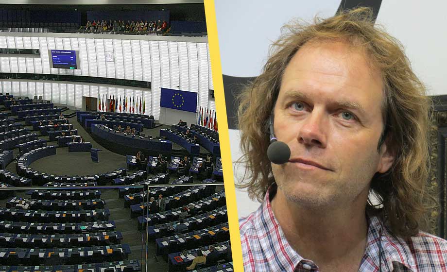 Miljöpartiet röstade fel i EU-parlamentet – nej till förbud blev ja