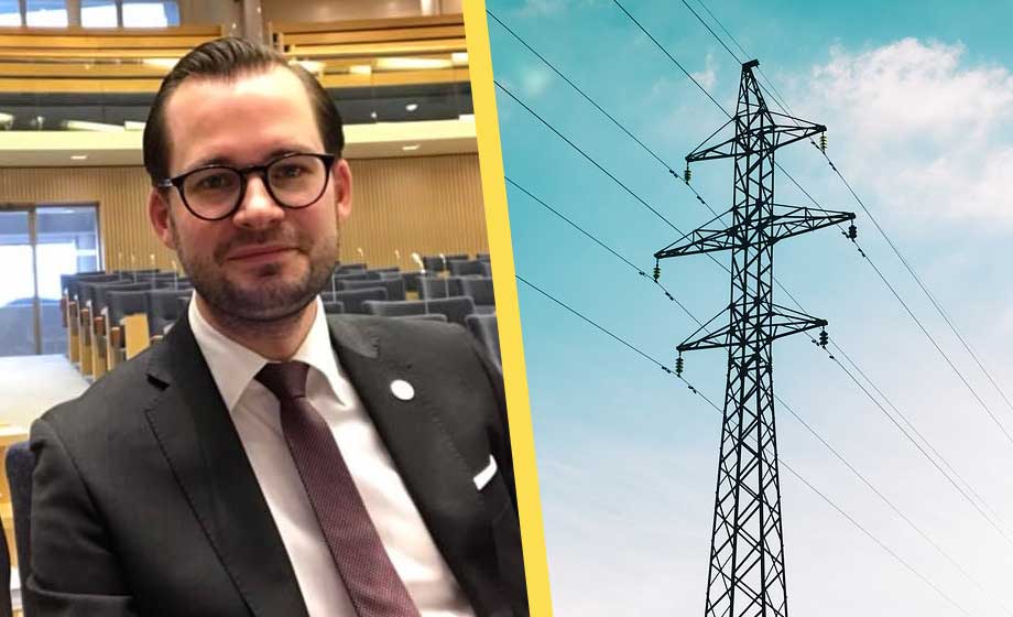 SD ensamt om att vilja sänka energiskatten