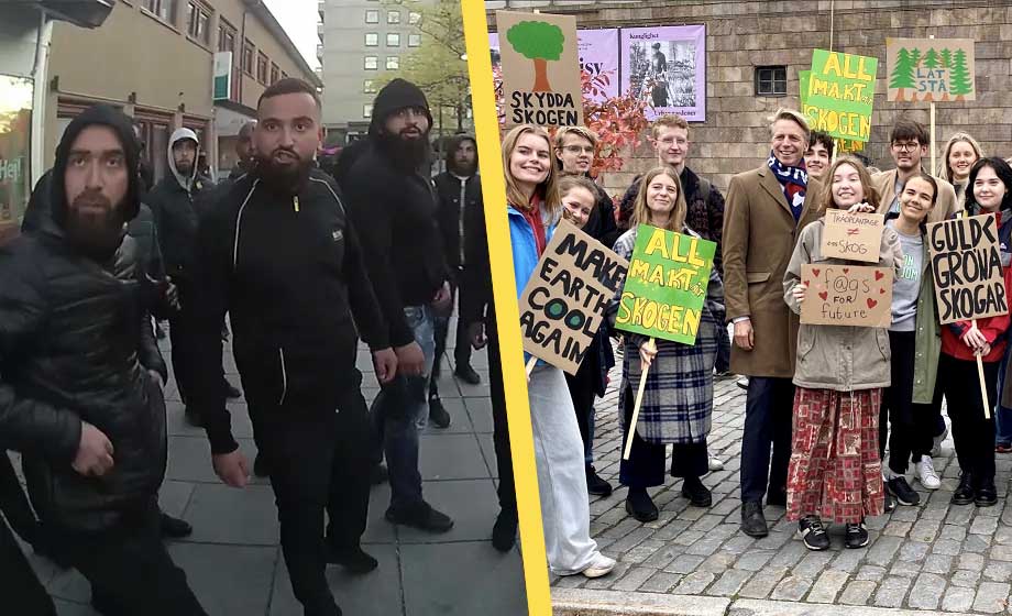 Stor majoritet miljöpartister nöjda med Sveriges utveckling