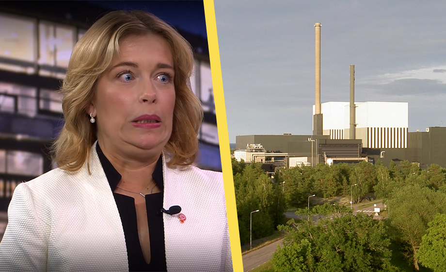 VIDEO: Strandhäll gissar nedstängda reaktorer