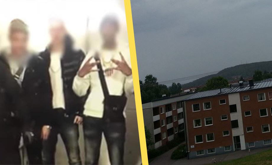 10-åriga kriminella har tagit över ”utsatt” bostadsområde i Ludvika