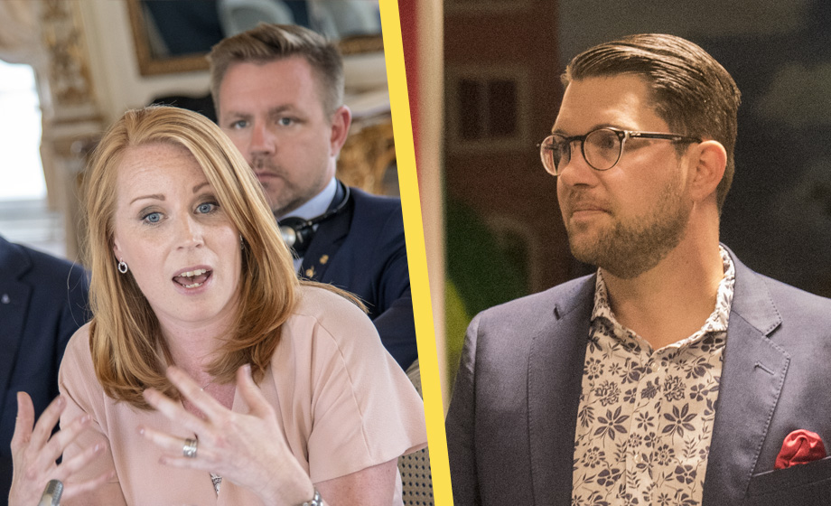 Annie Lööfs attack på SD efter sexdomen: ”Sunkig partikultur”