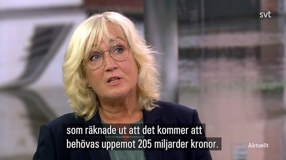 SVT:s klimatreporter rekryterades från MP till public service