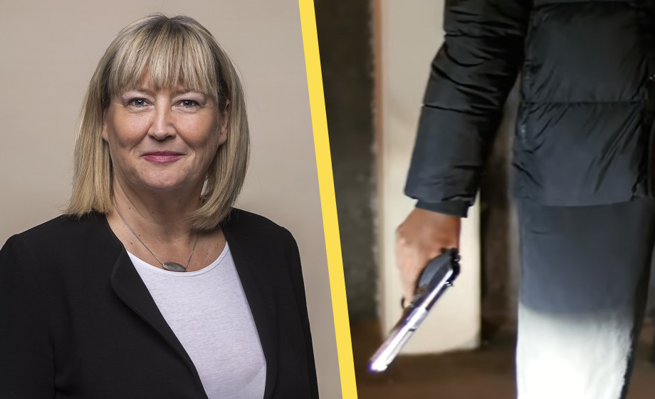 JK Mari Heidenborg kan stoppa regeringens kriminalpolitik