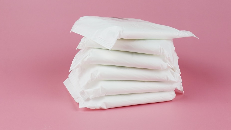 Avgiftsfria mensskydd mångmiljonkostnad för kommun