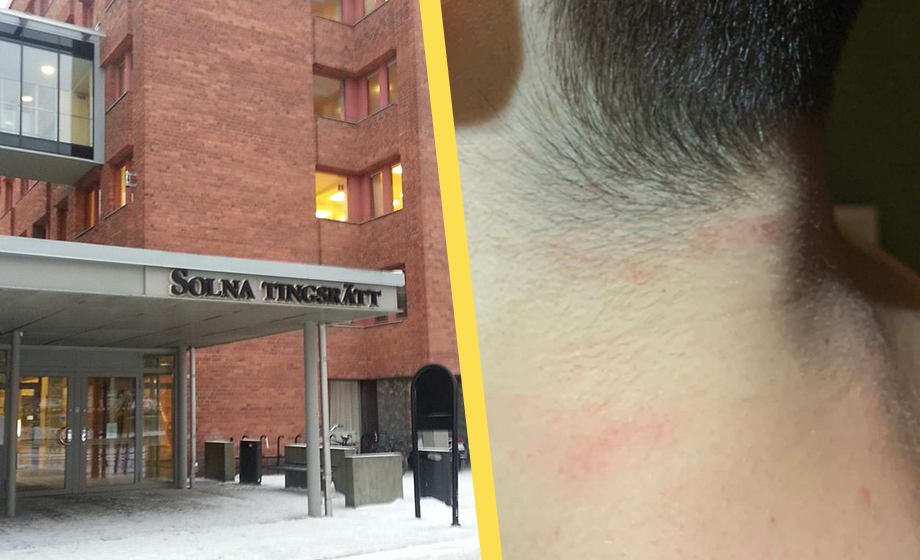 Miljöpartister och moderat friade utländsk barnmisshandlare – gärningsmannen förstår inte svensk lag