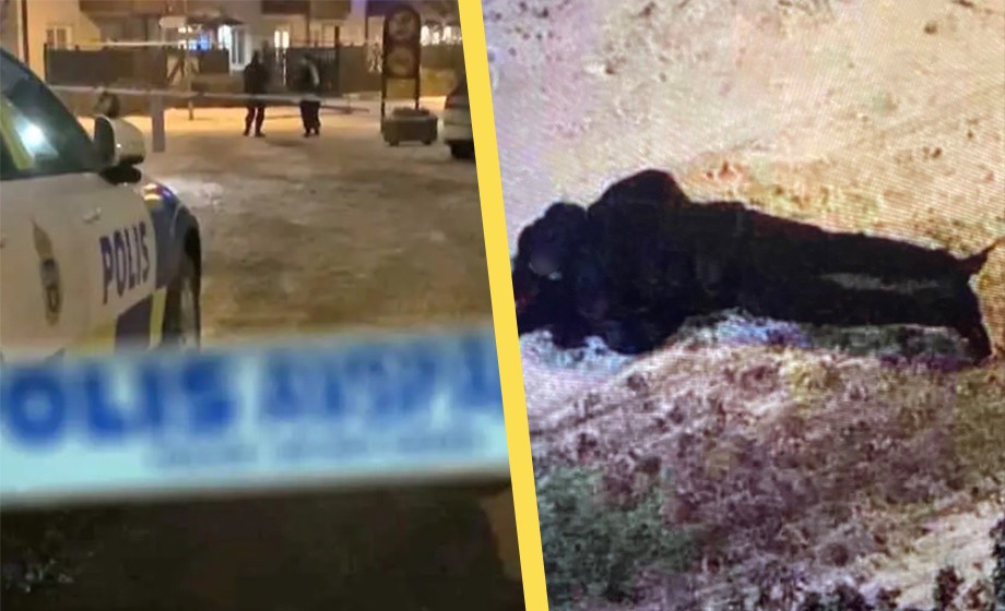 Gängskjutning i ”särskilt utsatt område” – en person död