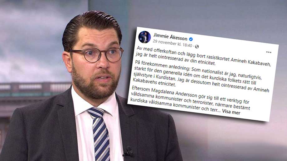 Åkesson: Kurder har rätt till en etnostat