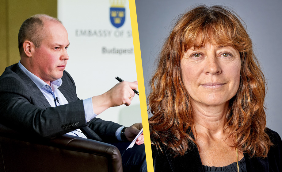 Toppåklagare kritiserade regeringen – ”omplaceras”