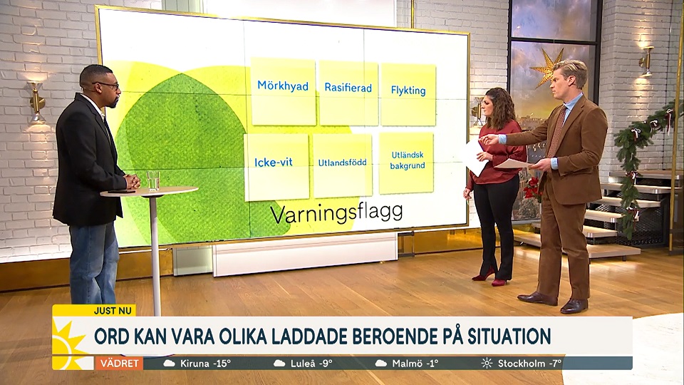Här lär TV4 ut hur du talar politiskt korrekt vid julbordet