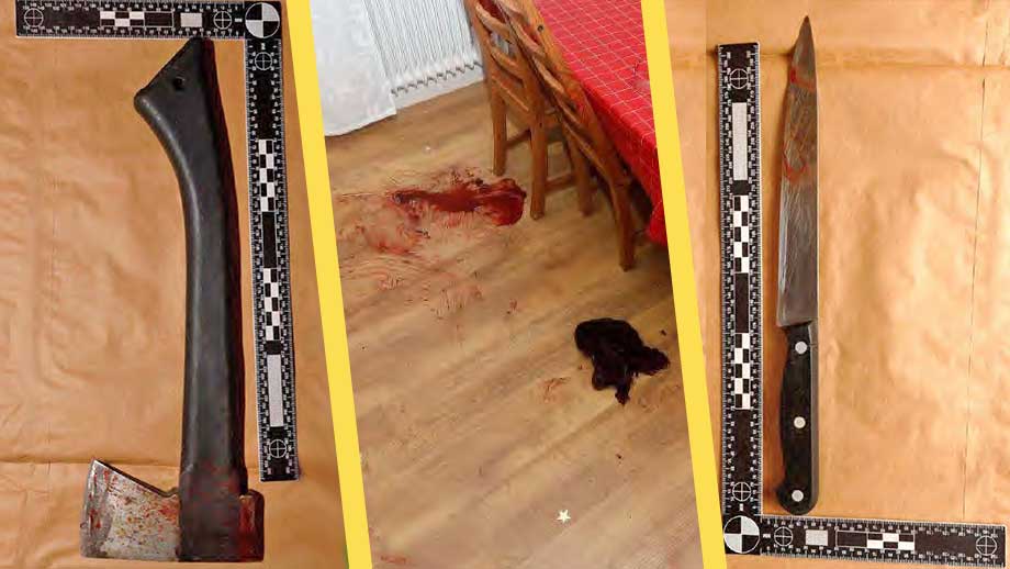 Försökte yxmörda mamma och barn – åtalas