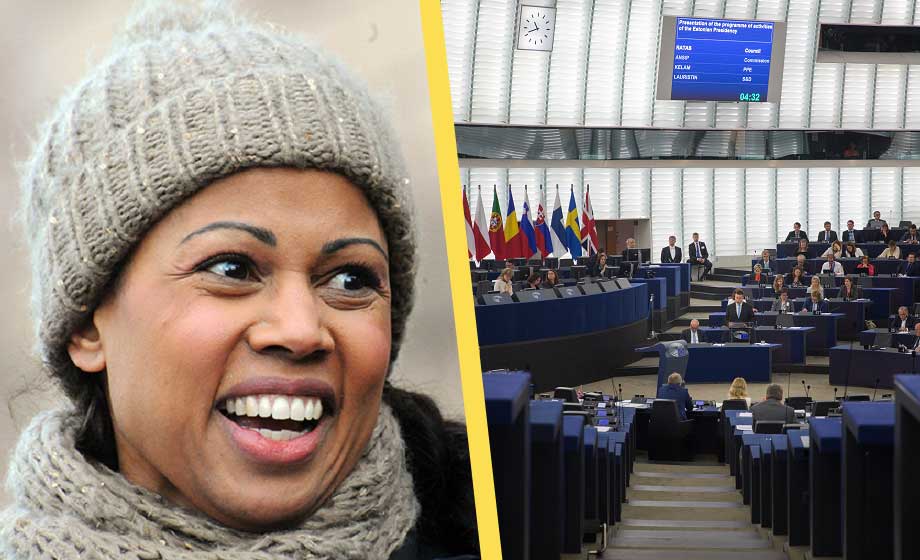 Polsk ilska mot Alice Bah Kuhnke – kallar Polen ’Mini-Ryssland’