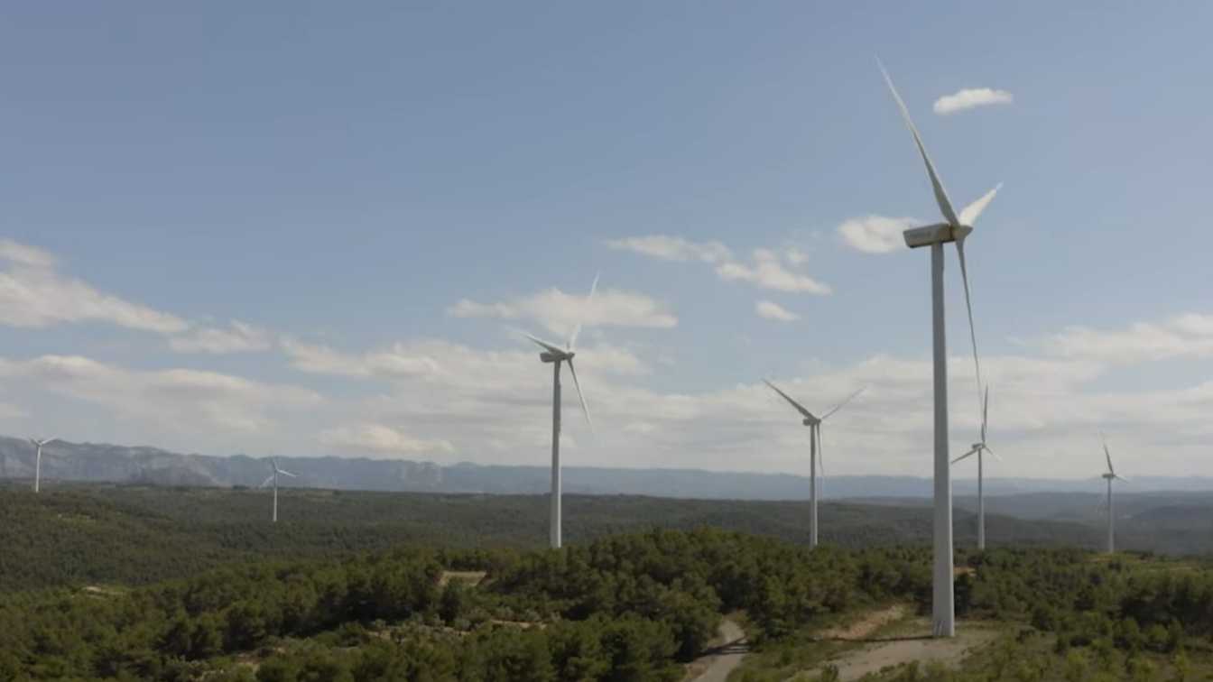 Vindkraft orsakar avskogning i Amazonas